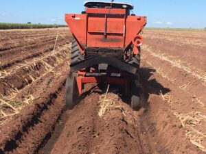 formas-aplicacao-de-fertilizantes-organicos-compostos